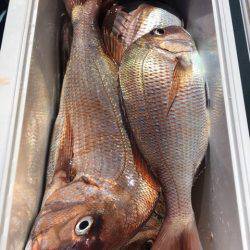 第二八坂丸 釣果