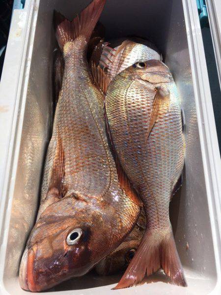 第二八坂丸 釣果