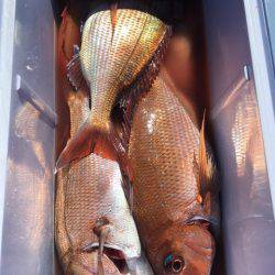 第二八坂丸 釣果