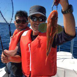 うさぎ丸 釣果