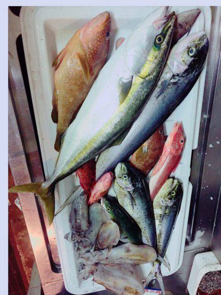 うさぎ丸 釣果