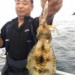 まるいち丸 ZERO-1 釣果