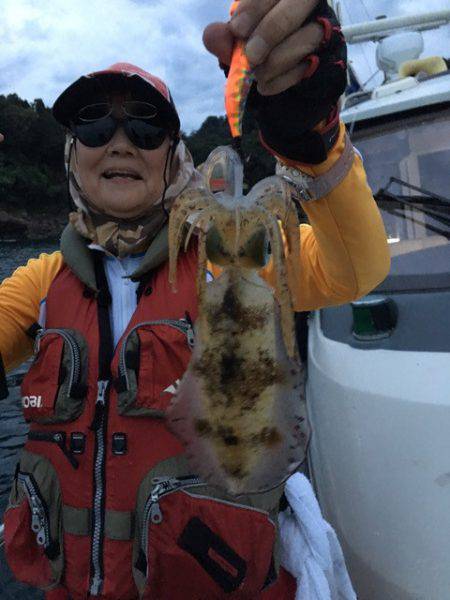 まるいち丸 ZERO-1 釣果