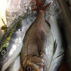 第二八坂丸 釣果