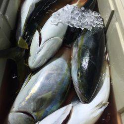 第二八坂丸 釣果