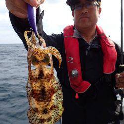 まるいち丸 ZERO-1 釣果