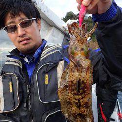 まるいち丸 ZERO-1 釣果