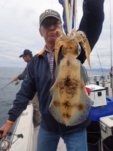 まるいち丸 ZERO-1 釣果