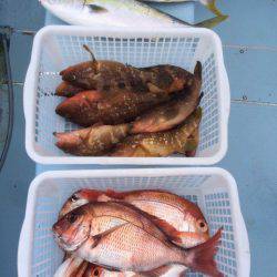 第二八坂丸 釣果