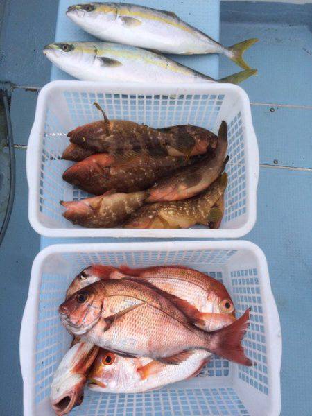 第二八坂丸 釣果