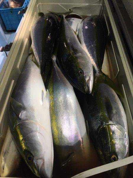 第二八坂丸 釣果