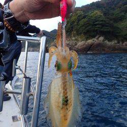 まるいち丸 ZERO-1 釣果