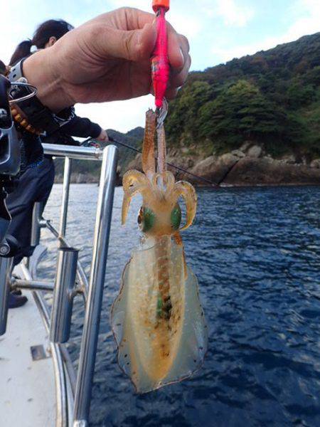 まるいち丸 ZERO-1 釣果