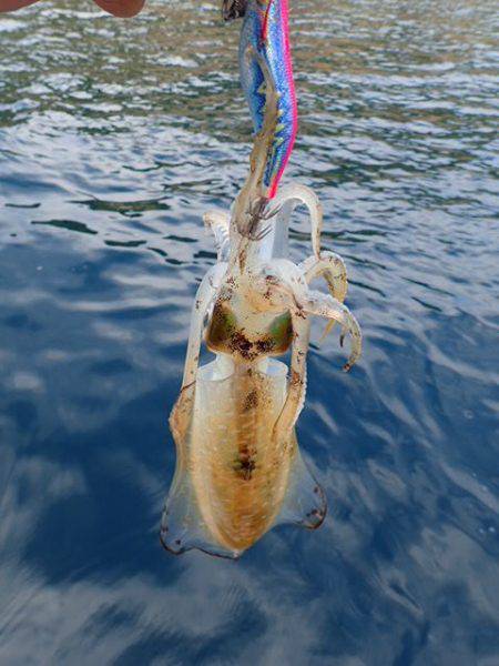 まるいち丸 ZERO-1 釣果