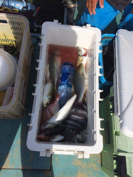 丸万釣船 釣果