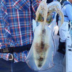 まるいち丸 ZERO-1 釣果