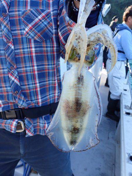 まるいち丸 ZERO-1 釣果