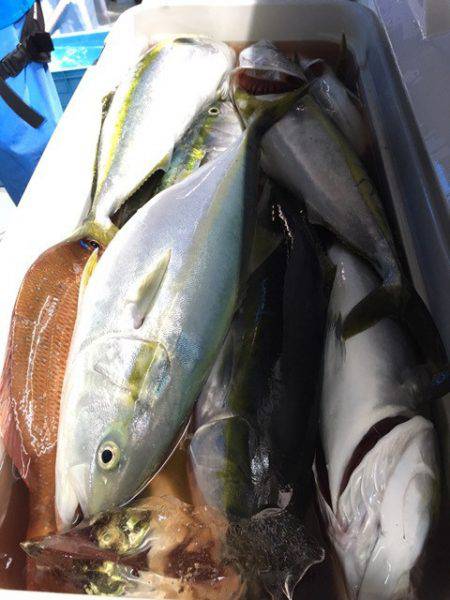 第二八坂丸 釣果