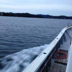 じゅん栄丸 釣果