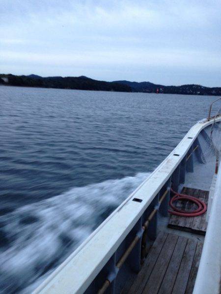 じゅん栄丸 釣果