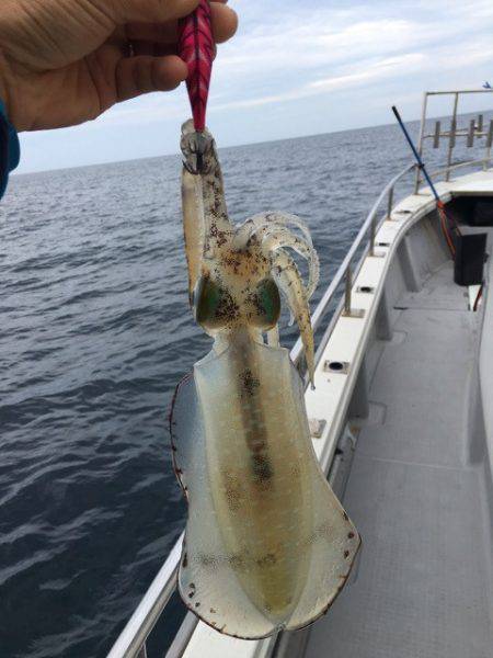 まるいち丸 ZERO-1 釣果