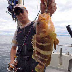 まるいち丸 ZERO-1 釣果