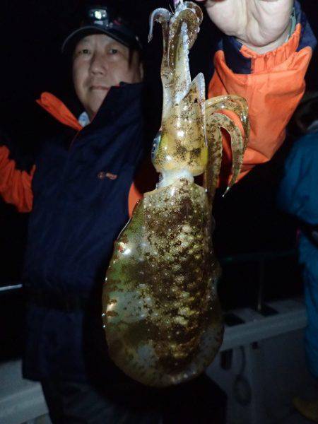 まるいち丸 ZERO-1 釣果