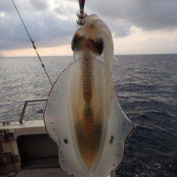 まるいち丸 ZERO-1 釣果