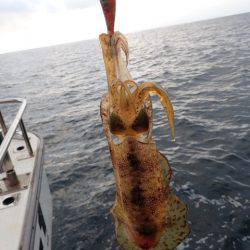 まるいち丸 ZERO-1 釣果