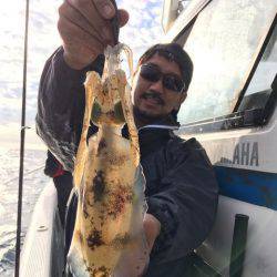 エヌスタイル 釣果