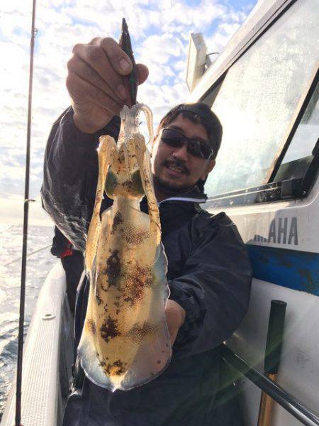 エヌスタイル 釣果