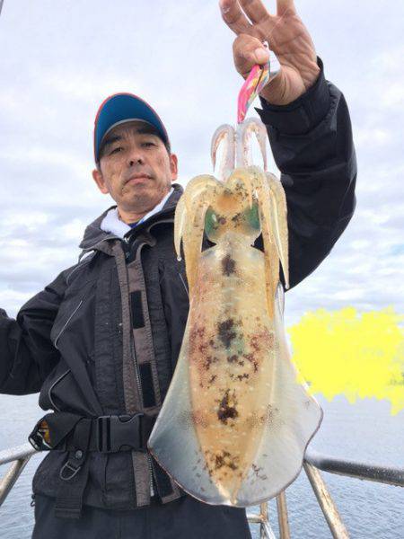 エヌスタイル 釣果