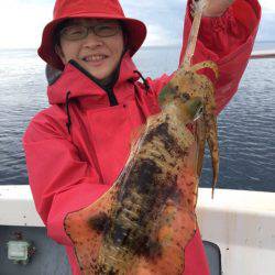 エヌスタイル 釣果