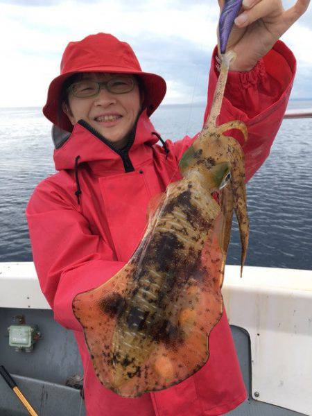 エヌスタイル 釣果