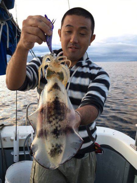 エヌスタイル 釣果