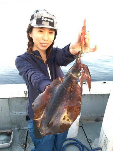 エヌスタイル 釣果