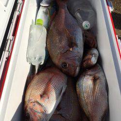 第二八坂丸 釣果