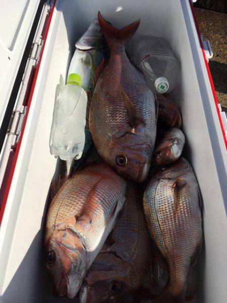 第二八坂丸 釣果