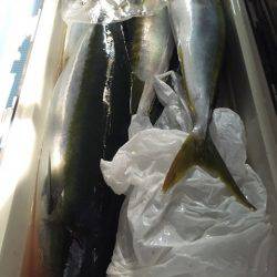 第二八坂丸 釣果