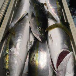 第二八坂丸 釣果