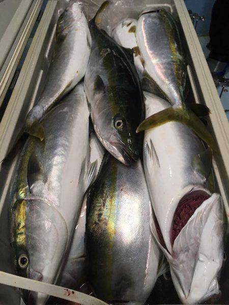 第二八坂丸 釣果