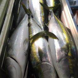 第二八坂丸 釣果