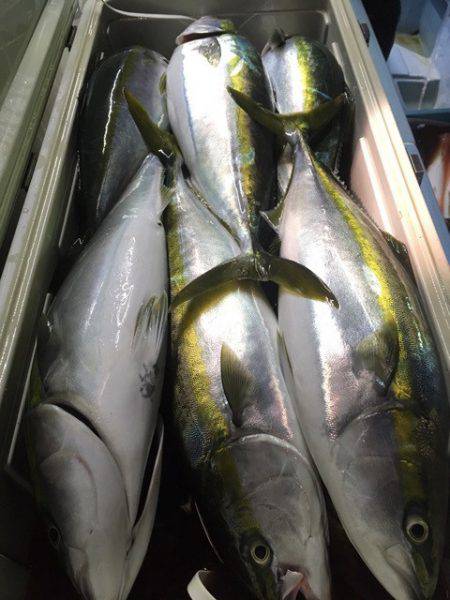 第二八坂丸 釣果