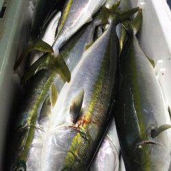 第二八坂丸 釣果