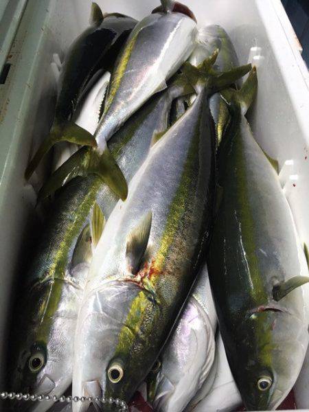 第二八坂丸 釣果