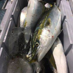 第二八坂丸 釣果