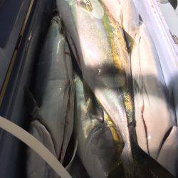 第二八坂丸 釣果