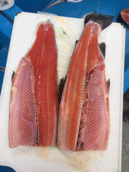 としまえんフィッシングエリア 釣果