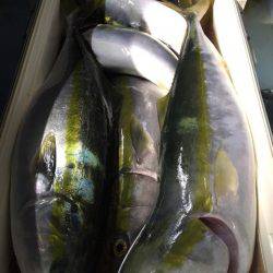 第二八坂丸 釣果