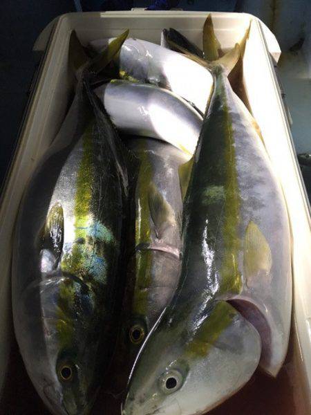 第二八坂丸 釣果